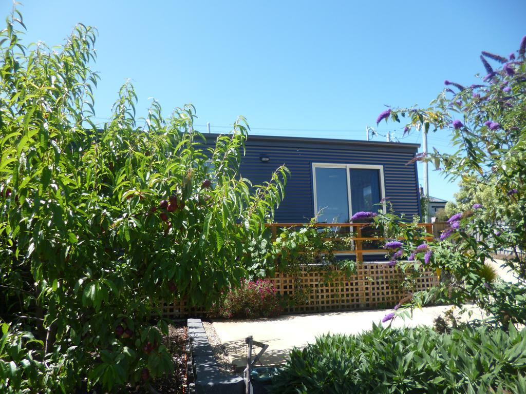 19 Blue Villa Kingston Beach Eksteriør billede